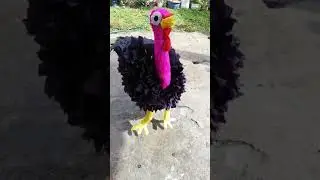 El baile del pavo 🦃