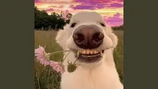 Модными