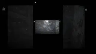My First Fight In RDR2 | Red Dead Redemption 2