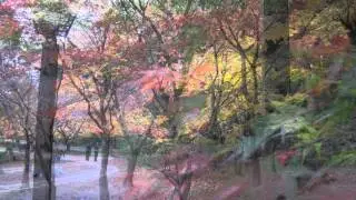 Blue Claw Jazz - Japanese Garden (Smooth Jazz)