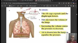 CH 7   Boyle's Law and Its Calculations