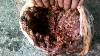 tamarind exporter, skype id - sujit.jaysingh