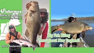 April 4th 2024 New England Video Fishing Forecast with Dave Anderson