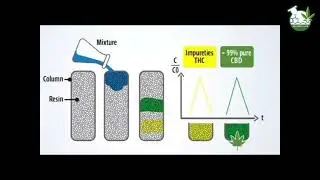 CBD Extraction Turnkey Solution