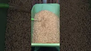Strohpellets &ndash; die Alternative zum Langstroh / Straw pellets &ndash; the alternative to long straw