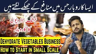Dehydrate Vegetables Business - How to Start in Small Scale || vegetable powder business