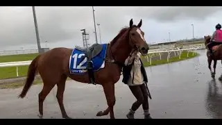 Regal Azmon Update I 160523