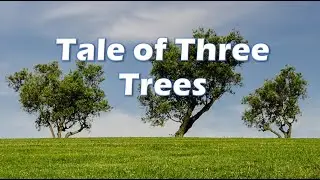 Tale of Three Trees
