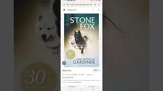 Sad stone fox edit