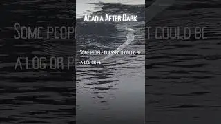 Monster in the Machias River?