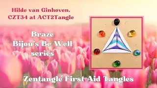 Braze  - Bijou's Be Well Series 2024