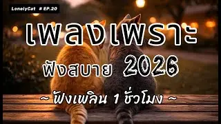 Lonely Cat🎵 รวมเพลงเพราะฟังสบาย  2025 ไม่มีโฆษณาคั่นบ่อย ฟังยาว 1 ชั่วโมง 🎶 EP.20