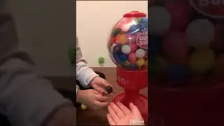 Miracle's playground