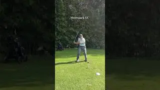Golf in Sydney ⛳#golf #golfswing #japangolf #sydney