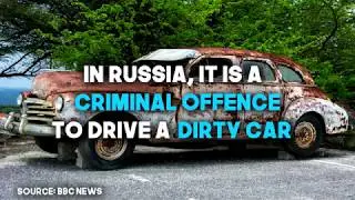 10 Totally Terrific Car Facts