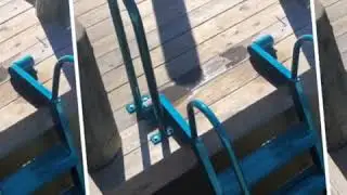 Awesome Wetsteps ladders