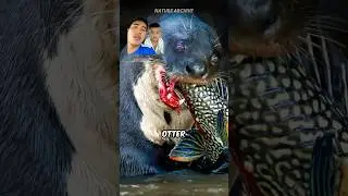 Omg , it is so strange,👍