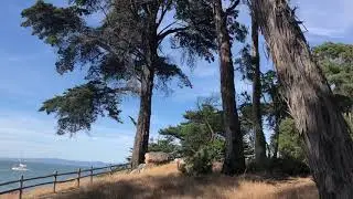 Coyote Point Park