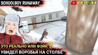 На столбе увидел воробья. Это реально или фэйк?🤔/SchoolBoy Runaway.