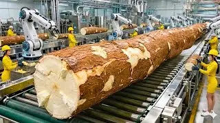 Cómo millones de yucas se transforman en tela dentro de una fábrica industrial