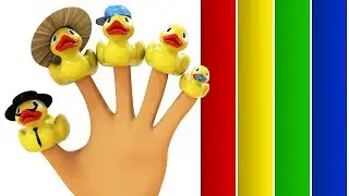 Finger Family Song - Duck Finger Family Songs - Daddy Finger Nursery Rhymes
