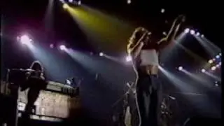 MSG - Rock Will Never Die