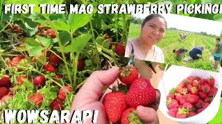 BUHAY AMERIKA:FIRST TIME NAMIN MAG STRAWBERRY PICKING SOBRANG DAMI AT SAYA NA MAMITAS GANDA NG LUGAR