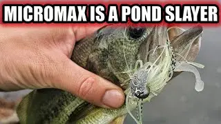 Z-Man Chatterbait MicroMax is a Pond Slaying Fishing Lure!