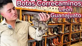 BOTAS EXOTICAS Botas Correcaminos Fabricante de botas vaqueras en exótico en Leon Guanajuato #boots
