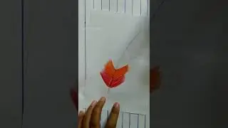 Colourful Bird feather oil pastel drawing step by step #art #draw