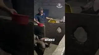 Остановите диарею у животных естественными способами!