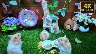 Cat TV for cats to watch hamsters playing in green nature, 4k UHD 10 hours