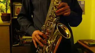 Странники в ночи strangers in the night (саксофон)