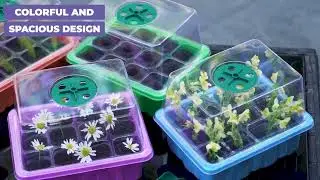 Trendily Inspired Seed Starter Kit