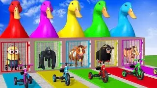 Playing as Spiderman in Long Slide Game with Cow Elephant Gorilla Hippo Tiger. Funny 3d Animal Game