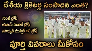 How Much Indian Domestic Players Earn?|Indian Domestic Players Salary|Cricket Poster
