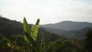 Dia Shanti - M&uacute;sica Original | Lo-fi