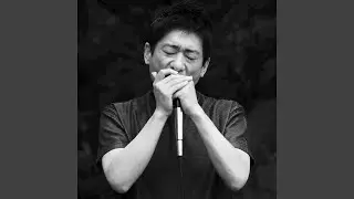 Harmonica Solo