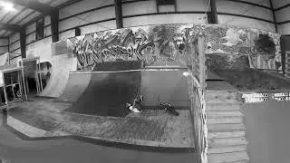 Andr&eacute; Jesus- Animalhouse edit