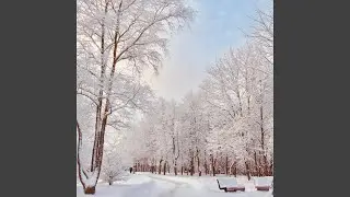 Santa's Speed Delivery