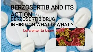 BERZOSERTIB AND ITS ACTION / BERZOSERTIB AND ENZYMES INHIBITORY PROPERTIES. / CHK1 CHK2/ DAMAGED DNA