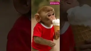 🐒💖 Baby Monkey Ice Cream Kha Raha Hai 🍦 | Cute Baby Monkey Eating Ice Cream | Funny Monkey Video #ai