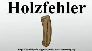 Holzfehler