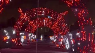 Hoy visitamos world of illumination. Luces de Navidad. Muy divertido y económico se los recomiendo. 