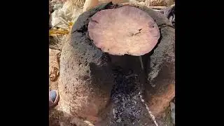 𝗧𝗔𝗙𝗔𝗥𝗡𝗢𝗨𝗧,  𝗟𝗘 𝗣𝗔𝗜𝗡 𝗕𝗘𝗥𝗕𝗘𝗥𝗘