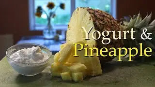 Yogurt & Pineapple - Recipe