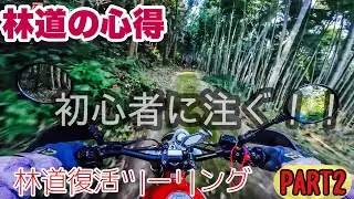 【 キャバレロスクランブラー500 】ゆるふあ林道部 に参加して 林道復活ツー してきた。PART2 初心者へ林道の心得 編  FlatManmotovlogs 林道モトブログ鹿児島#391
