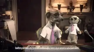 To Collect Sergei Meerkat Toy Reward buy through comparethemarket.com