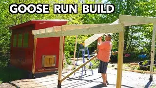 Building Our Small Farm  - Goose House Build