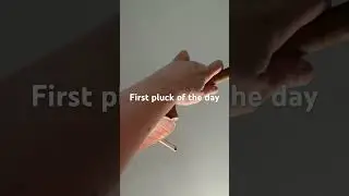 Do you know the piece?